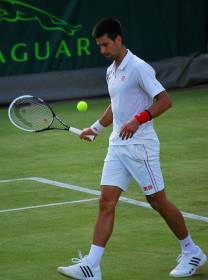 Novak Djokovic, Sieger von Wimbledon 2014