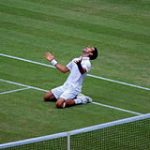 Novak Djokovic Wimbledon Grand Slam