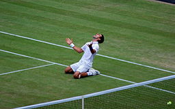 Novak Djokovic Wimbledon Grand Slam