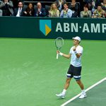 Tomas Berdych beim ATP500 Rotterdam