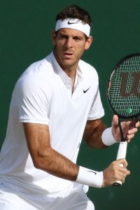 juan martin-del potro