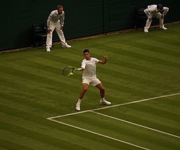 Alcaraz Wimbledon 2022